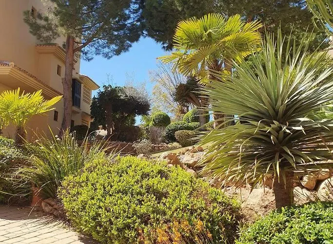 New Alquibla Gardens, Terrace & Pool